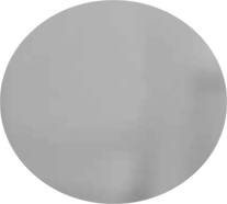 VITRIFRIGO C50i 50 L+ pakastin 3,6 L Harmaa