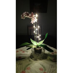 Finnlumor Paristovaloketju 20LED