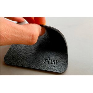 Silwy Kristallilasi Olutlasisarja 2 kpl, magneetilla