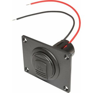 Pro Car USB Pistorasia kannella