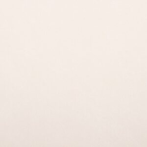 Seinälevy / Sisustuslevy 3 mm, 1220x2440 mm 2,98 m2