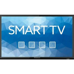 MEGASAT Royal Line III Smart LED Camping TV 23,6"