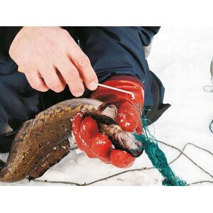 Kivikangas Kalanaskali helpottaa kalan irroitusta verkosta