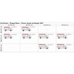 Fiamma F80 S 320 cm 250 cm, hopea / harmaa