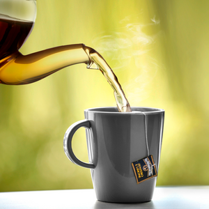 Brunner kahvimuki Dolomite, hot mug, harmaa