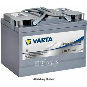 Varta Professional Deep Cycle AGM-Batterie 1