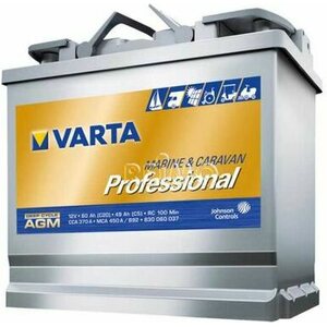 Varta Professional Deep Cycle AGM-Batterie 6